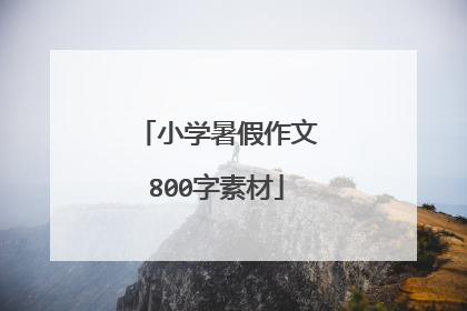 小学暑假作文800字素材