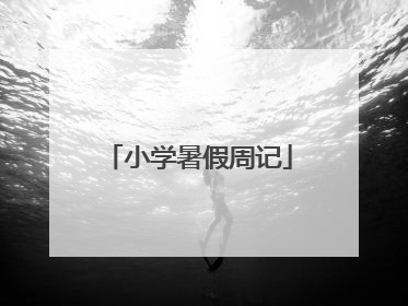 小学暑假周记