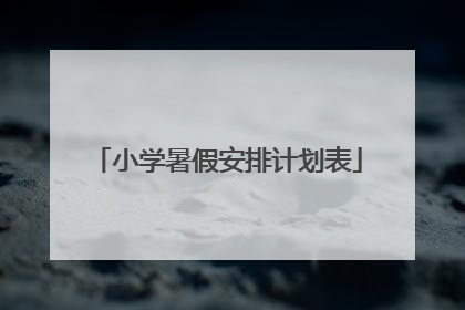 小学暑假安排计划表