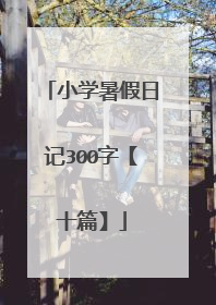 小学暑假日记300字【十篇】