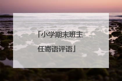 小学期末班主任寄语评语