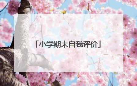 小学期末自我评价