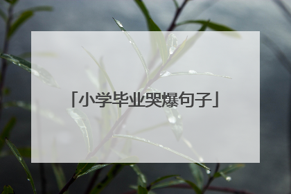 小学毕业哭爆句子