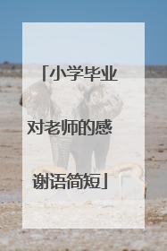 小学毕业对老师的感谢语简短