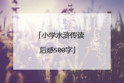 小学水浒传读后感500字