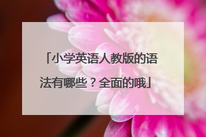 小学英语人教版的语法有哪些?全面的哦