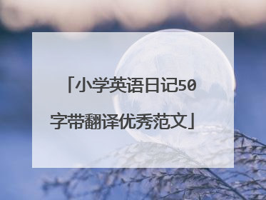 小学英语日记50字带翻译优秀范文