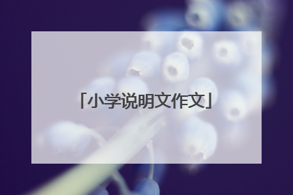 小学说明文作文