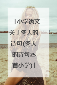 小学语文关于冬天的诗句(冬天的诗句25首小学)