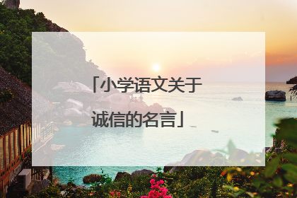 小学语文关于诚信的名言
