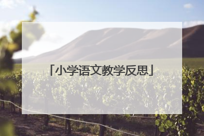 小学语文教学反思