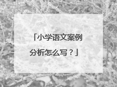 小学语文案例分析怎么写?