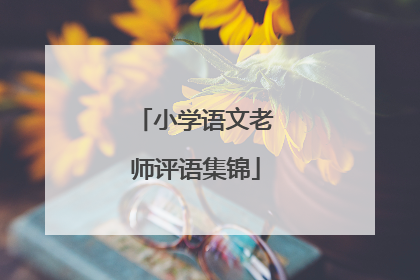 小学语文老师评语集锦