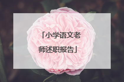 小学语文老师述职报告