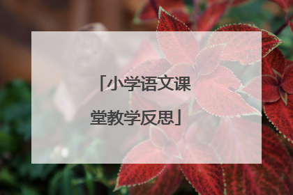 小学语文课堂教学反思