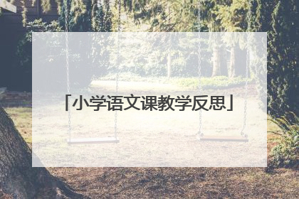小学语文课教学反思