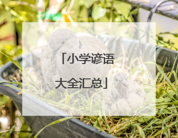 小学谚语大全汇总