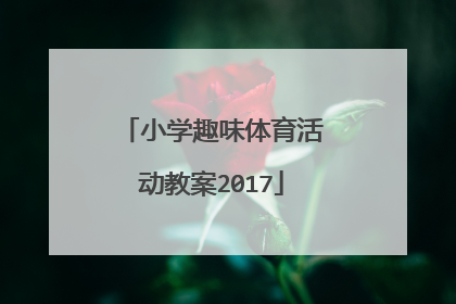 小学趣味体育活动教案2017