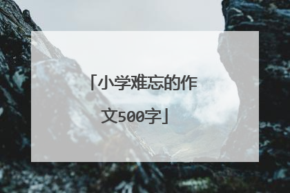 小学难忘的作文500字