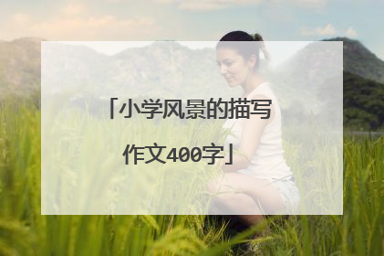 小学风景的描写作文400字