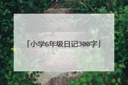 小学6年级日记300字