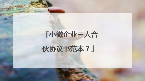 小微企业三人合伙协议书范本？