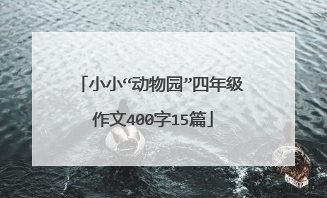 小小“动物园”四年级作文400字15篇