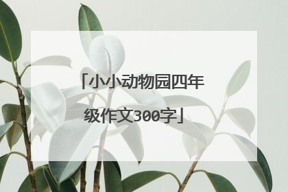 小小动物园四年级作文300字