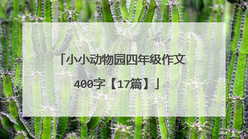 小小动物园四年级作文400字【17篇】
