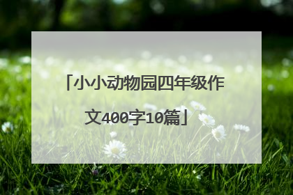 小小动物园四年级作文400字10篇