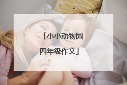 小小动物园四年级作文