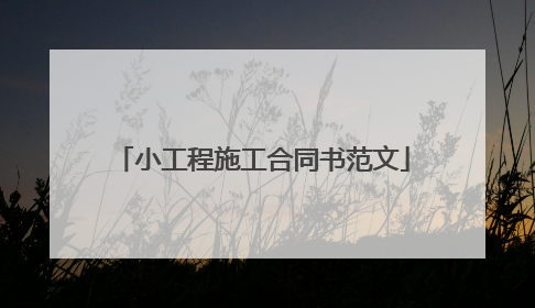 小工程施工合同书范文