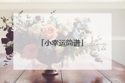 小幸运简谱
