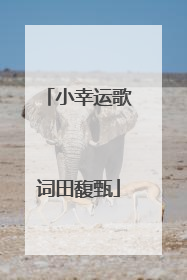小幸运歌词田馥甄
