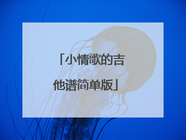 小情歌的吉他谱简单版