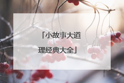 小故事大道理经典大全
