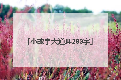 小故事大道理200字