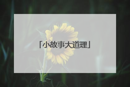 小故事大道理