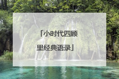 小时代四顾里经典语录