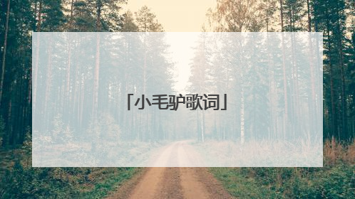 小毛驴歌词