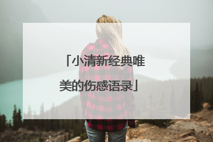 小清新经典唯美的伤感语录