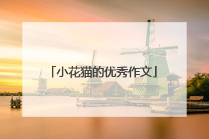 小花猫的优秀作文