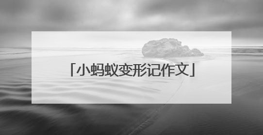 小蚂蚁变形记作文