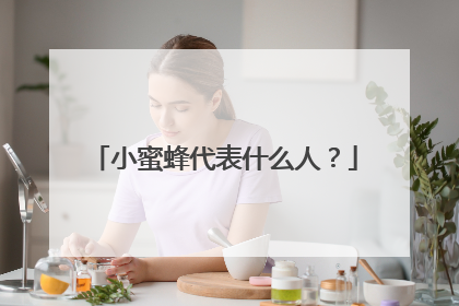 小蜜蜂代表什么人？