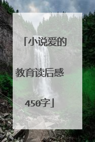 小说爱的教育读后感450字