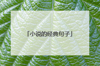 小说的经典句子