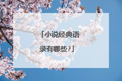 小说经典语录有哪些?