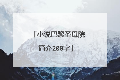 小说巴黎圣母院简介200字
