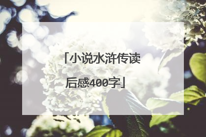 小说水浒传读后感400字