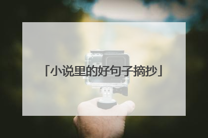 小说里的好句子摘抄